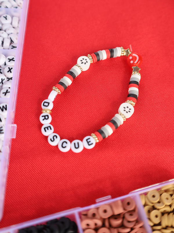 ODRescue charm bracelet at the Walk for Lives event